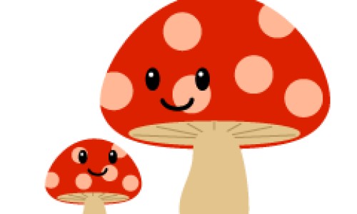野花椒的图片与主治-野花椒芽功效网 - 为你提供野花椒泡水喝起什么作用、野花椒的图片与主治