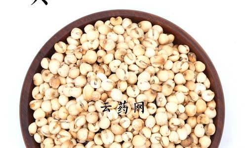 野花椒芽功效网 - 为你提供野花椒泡水喝起什么作用、野花椒的图片与主治